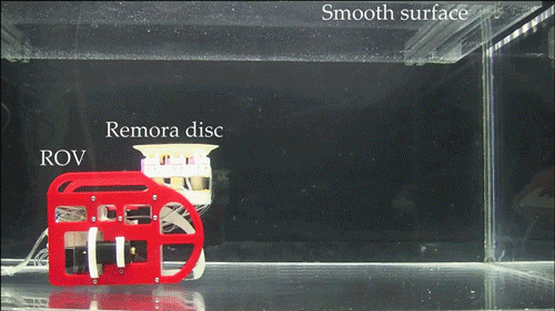 93A671203878D1BE4F385AFF373_2F79A254_E2851C