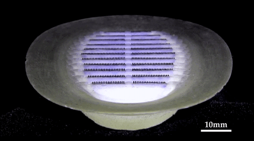 260D4007A102A955D65D8E550EB_008C0387_3E47AE