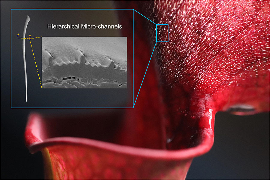 9C18C256DDA665DEC8A064E9248_3AB9420C_292C6