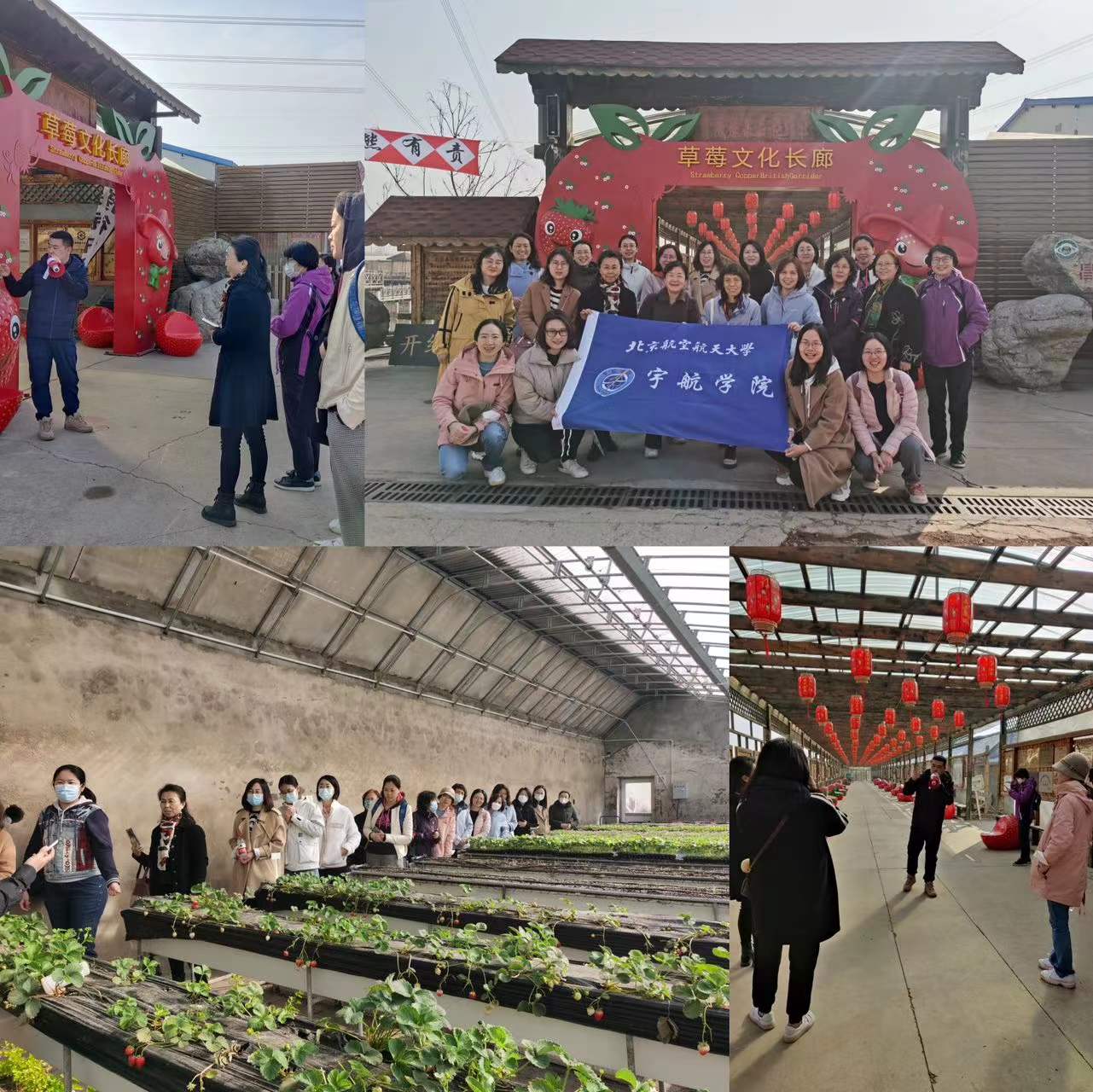 太阳集团tyc539(股份)有限公司官网