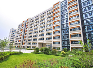 太阳集团tyc539(股份)有限公司官网